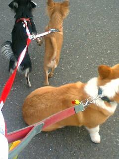 手をつないでいるみたい？？笑.jpg