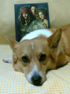 パイレーツ･オブ・カリビアン