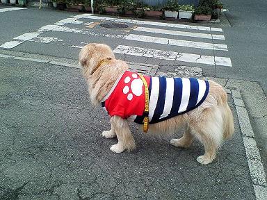 まだかなぁ