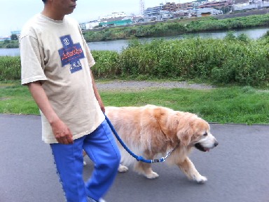 2006.8.26