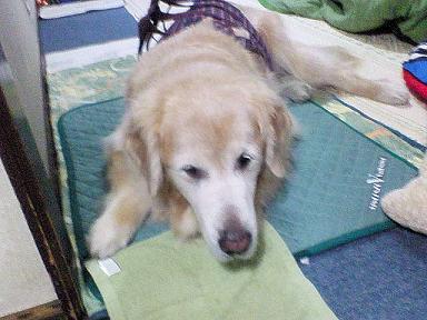 2007.11. 052.jpg