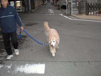 スタスタ
