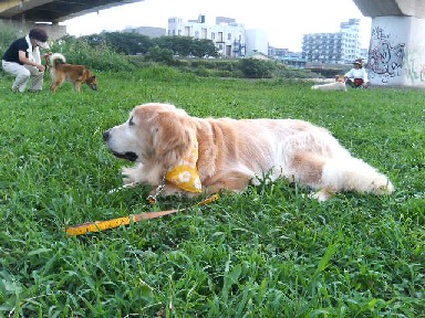 2006.8.28三角