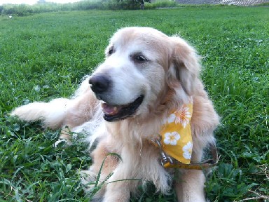 2006.8.28