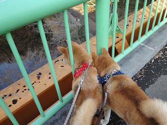 １４．泉自然公園