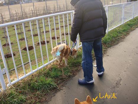 １３．バンと爺