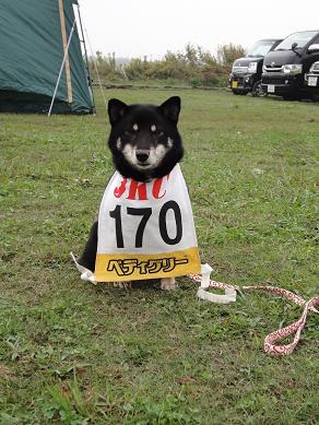 ６．ＪＫＣ訓練競技会