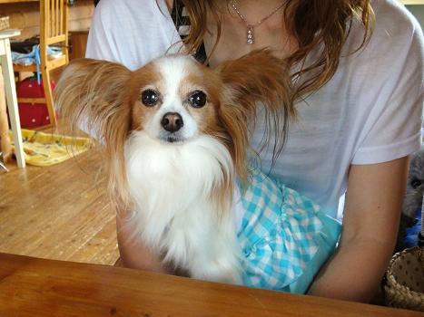 １．６月陽だまり