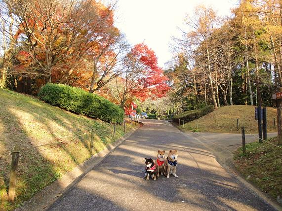 １６．泉自然公園