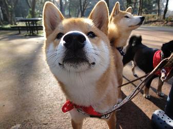 １７．泉自然公園