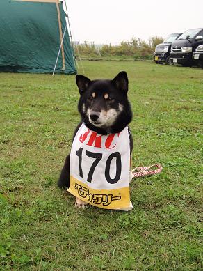 ７．ＪＫＣ訓練競技会