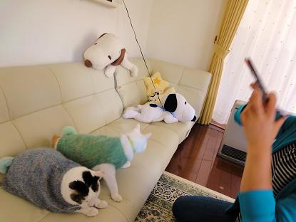 ７．１０月Ｋちゃんの日　オソロのニャゴニャゴ隊