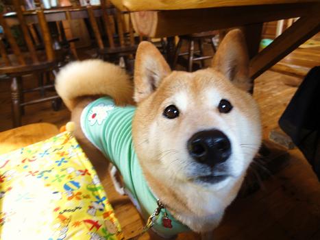 ５．６月陽だまり