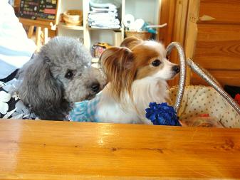 ７．６月陽だまり