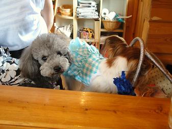 ８．６月陽だまり