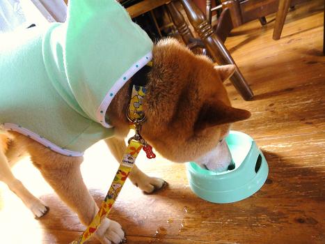 ９．６月陽だまり