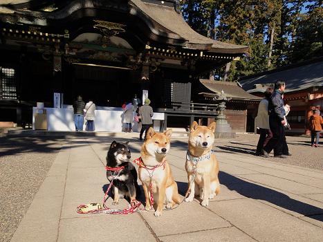 ２．Ｈ２３初詣