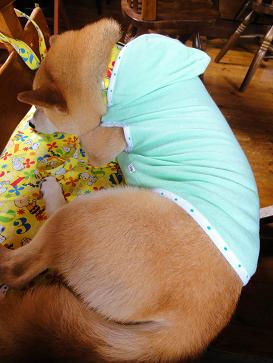 １０．６月陽だまり