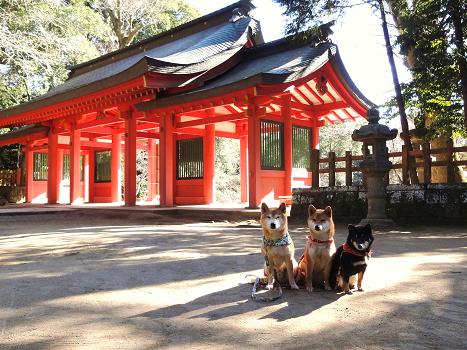 ３．Ｈ２３初詣