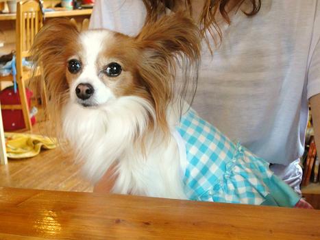 １２．６月陽だまり