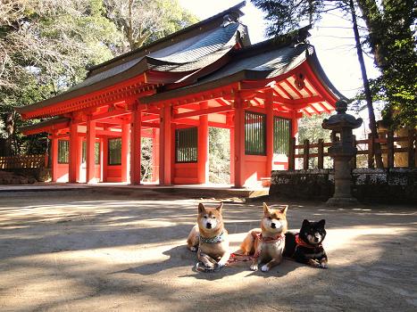 ４．Ｈ２３初詣