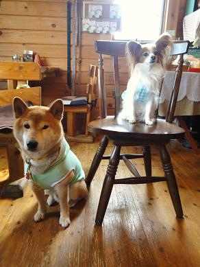 １４．６月陽だまり