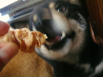 １６．おいちぃなの♪