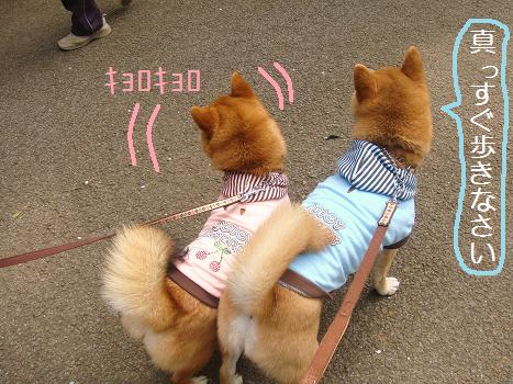 ３．テクテクテク
