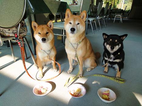 ６．食べようね♪