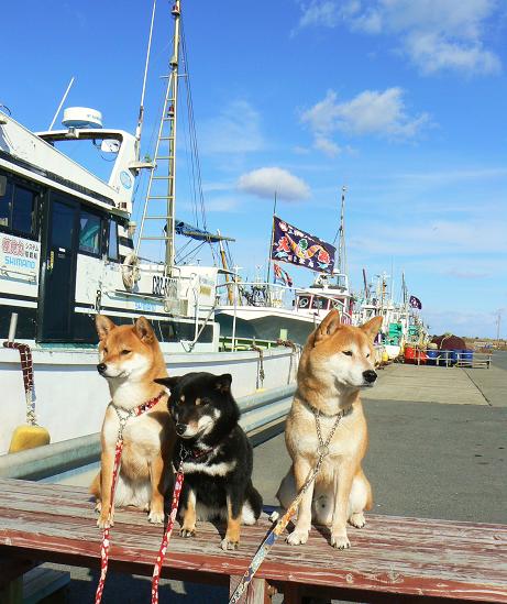 ３．しんクーカン