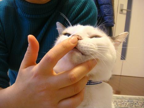 １４．のびたん♪