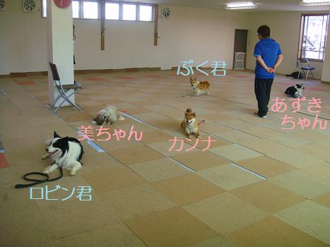 ２．５月１９日オビ練