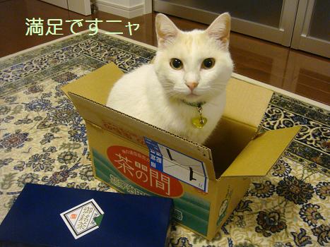 ９．満足ですニャ♪