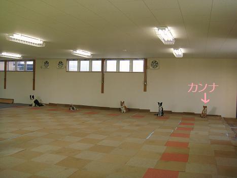 ５．５月１９日オビ練