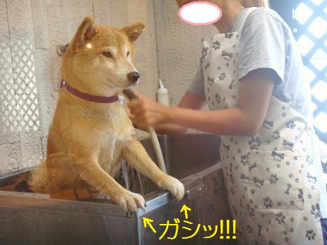 ６．２７日ケーズ