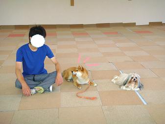 １０．頑張れカンナ