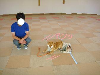 １１．頑張れカンナ