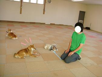 １２．頑張れカンナ