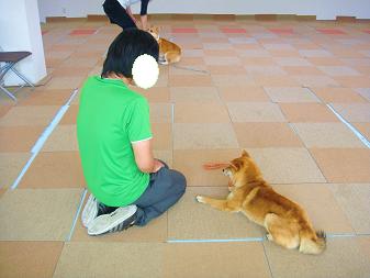 １３．頑張れカンナ