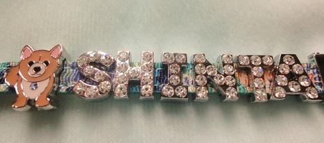 ５．インターペット