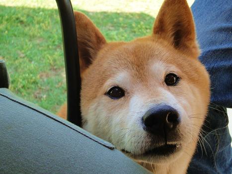 １．キミちゃんとテラス砂時計