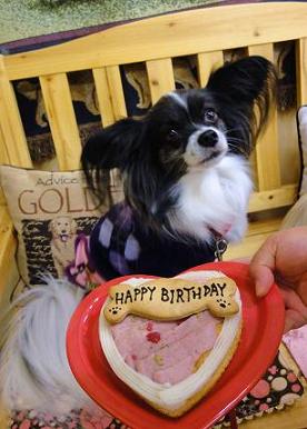 ５．伽羅美ちゃんとケーズ　おめでとう