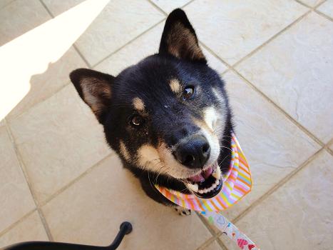 ２．キミちゃんとテラス砂時計