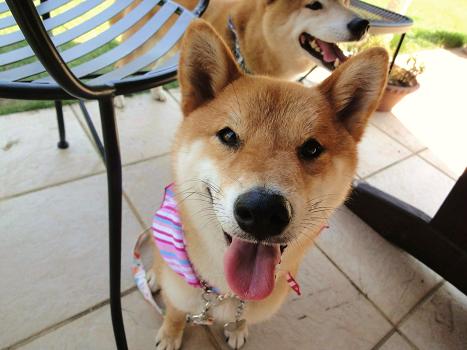 ３．キミちゃんとテラス砂時計