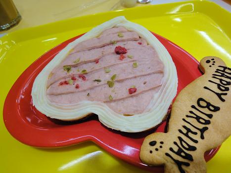 ７．伽羅美ちゃんとケーズ