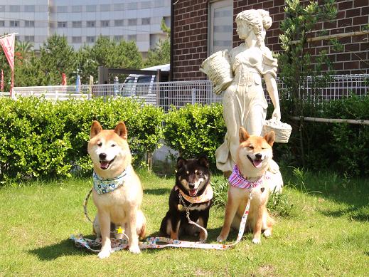 ６．キミちゃんとテラス砂時計