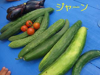 ４．ＨＯＰ★ＷＡＮ バーベキュー８/20