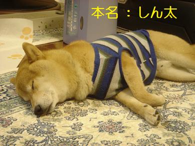 ３．新チです