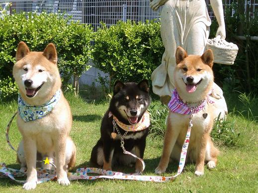 ７．キミちゃんとテラス砂時計