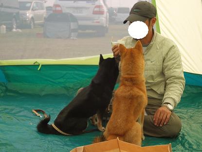 ２．ＪＫＣ訓練競技会